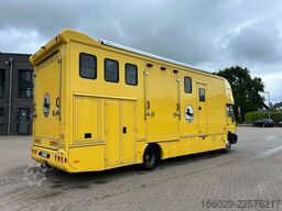 MAN L 2000 Pferdetransporter Wohnabteil Aufbau NEU