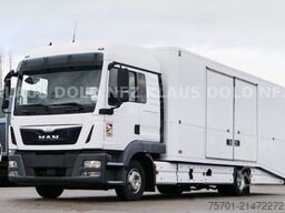 MERCEDES-BENZ TGL 8.250 geschloss. Autotransp. Moetefindt