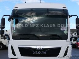 MERCEDES-BENZ TGL 8.250 geschloss. Autotransp. Moetefindt