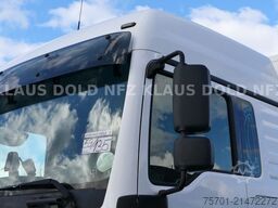 MERCEDES-BENZ TGL 8.250 geschloss. Autotransp. Moetefindt