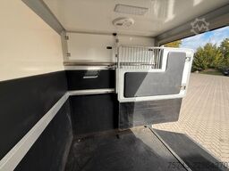 RENAULT Master STX 3 Sitzer  Haras / Hengste