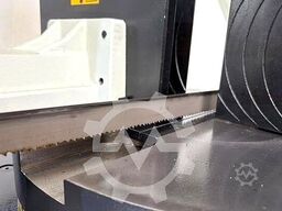 Pegas-Gonda 300x320 GH-LR