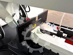 Pegas-Gonda 300x320 GH-LR