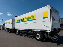 Ewers PRASQ 18 Schwenkwand SAF LBW BÄR 2.500kg