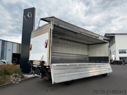 Ewers PRASQ18 Schwenkwand SAF LBW BÄR 2.500kg