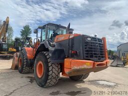 Hitachi ZW310