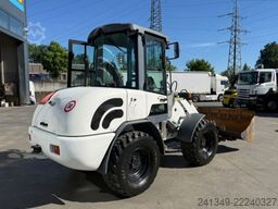TEREX TL65 SWS Schaufel & Gabeln