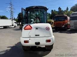 TEREX TL65 SWS Schaufel & Gabeln