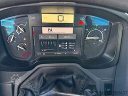 RENAULT C520 10x4 Moser