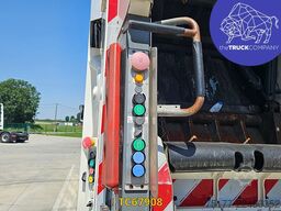 Scania P 320