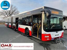 MAN A 23 Lion?s City G/O 530 G/Citaro/Klima/EEV