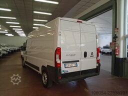 FIAT Ducato Maxi