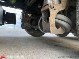 BERGER SAPL24*Standard Tautliner*Liftachse*Zerifikat*