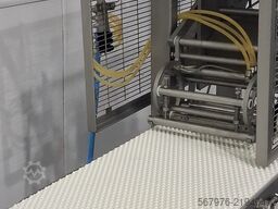 Carnitech CT 2612 Pin-boning & Packing Line
