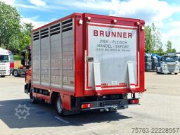 Iveco Eurocargo 75.190 - Finkl Livestock 1 deck - 9.0...