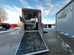 MAN 12 250 5 Pferde Pop-Out