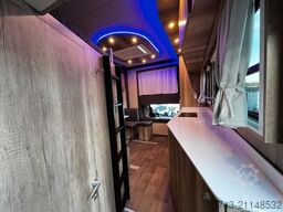 MAN 12 250 5 Pferde Pop-Out