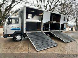 Mercedes-Benz 814 L 4 Pferde