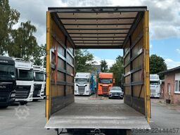 FLIEGL TPS 100 Plane Durchlader Edscha verzinkt