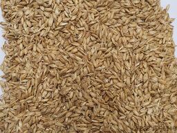 RW Recycling World GmbH FBS 450 / FBS 600 / FBS 900