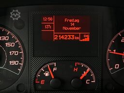 FIAT Ducato 3.0 Natural Power/CNG/Benzin 9 Sitze Pdc