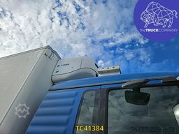 MAN TGX 26.440