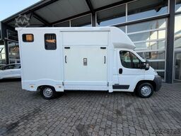 Renault Master 1-2 Pferde