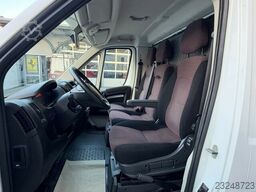 Renault Master 1-2 Pferde