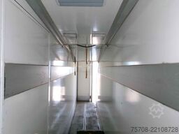 IVECO Stralis 310 Brandt- Kühlkoffer LBW 3-Kammer