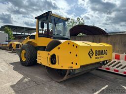 Bomag BW 219 DH-5 Walzenzug