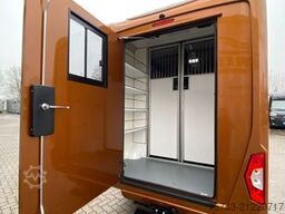 FORD Transit STX Haras  NEW MODELL. AUTOMATIK