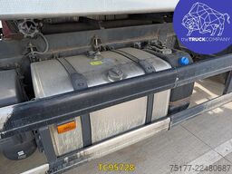 Scania P 450