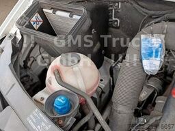 MERCEDES-BENZ Sprinter 516 / Frigo Cool / load 3,2ton