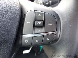 FORD Transit Doka Kasten 350 L3H2 LKW Trend 130PS