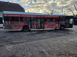 MERCEDES-BENZ Citaro O530 LE, Gurten,  Armlehnen, Gardinen