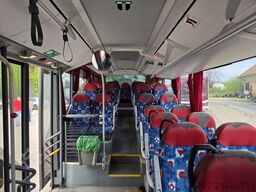 MERCEDES-BENZ Citaro O530 LE, Gurten,  Armlehnen, Gardinen