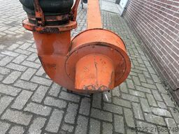 Palazzi Stefano Palazzi Stefano Palazzi Stefano