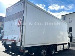 MERCEDES-BENZ 2543 Antos, LBW