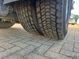 Scania P310 **EURO 5-FRENCH TRUCK**