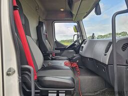 RENAULT D 210