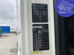 MAN TGX 460