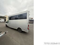 Ford Transit 1-2 Pferde Hengsttrennung