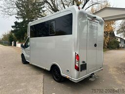 Ford Transit 1-2 Pferde Hengsttrennung