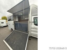 Ford Transit 1-2 Pferde Hengsttrennung