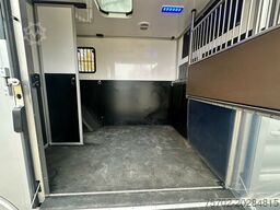 Ford Transit 1-2 Pferde Hengsttrennung