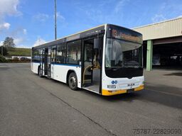 MAN A 78 City Lion's, 38+37+1, Euro m5 EEV, Retarder