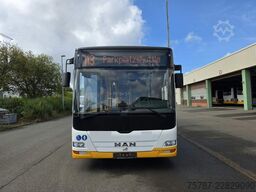 MAN A 78 City Lion's, 38+37+1, Euro m5 EEV, Retarder