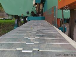 C SAW 5 HEAD HORIZONTAL BAND RE SAW