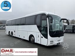 MAN R 09 Lion´s Coach