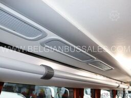Iveco Evadys 13m / Rear door / 3-Point seat belts / N...